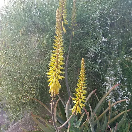 Prázdninový dům Aldani *