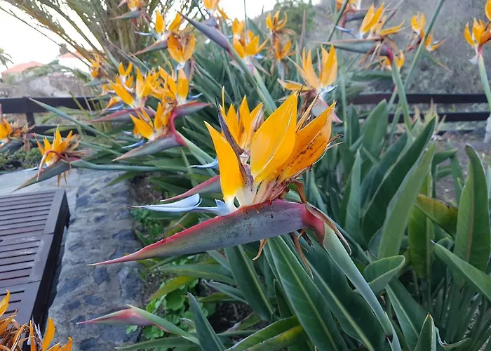 Prázdninový dům Aldani