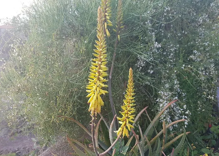 Prázdninový dům Aldani *